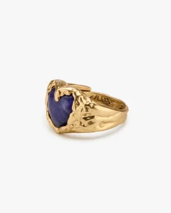 Nude Project Brasil Ring Gold Fashion