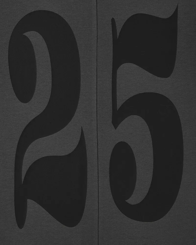 Nude Project Vintage Sports Longsleeve Grey Best