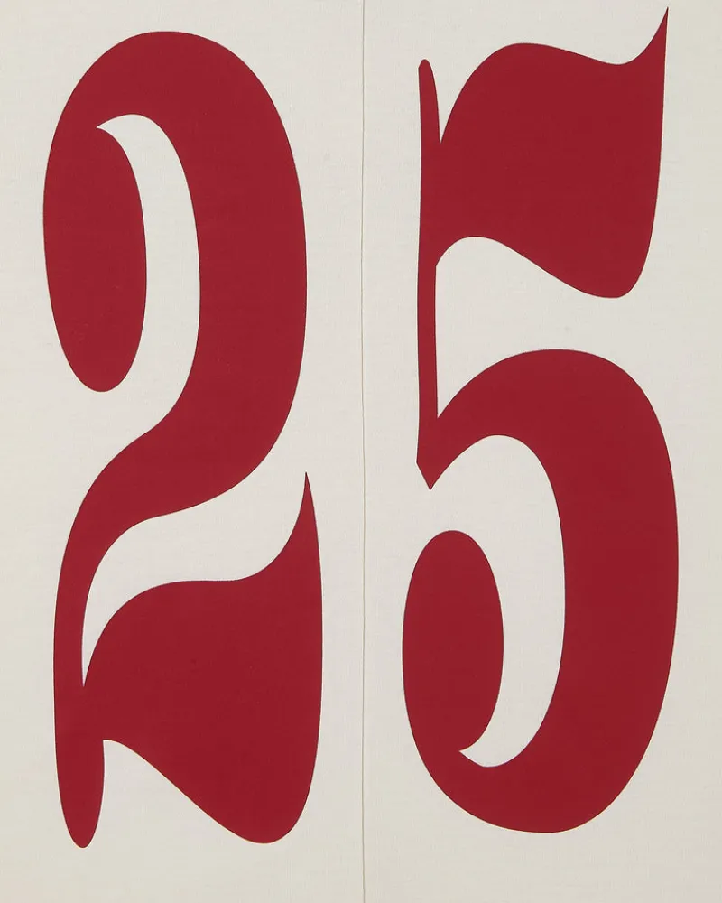 Nude Project Vintage Sports Longsleeve White Hot